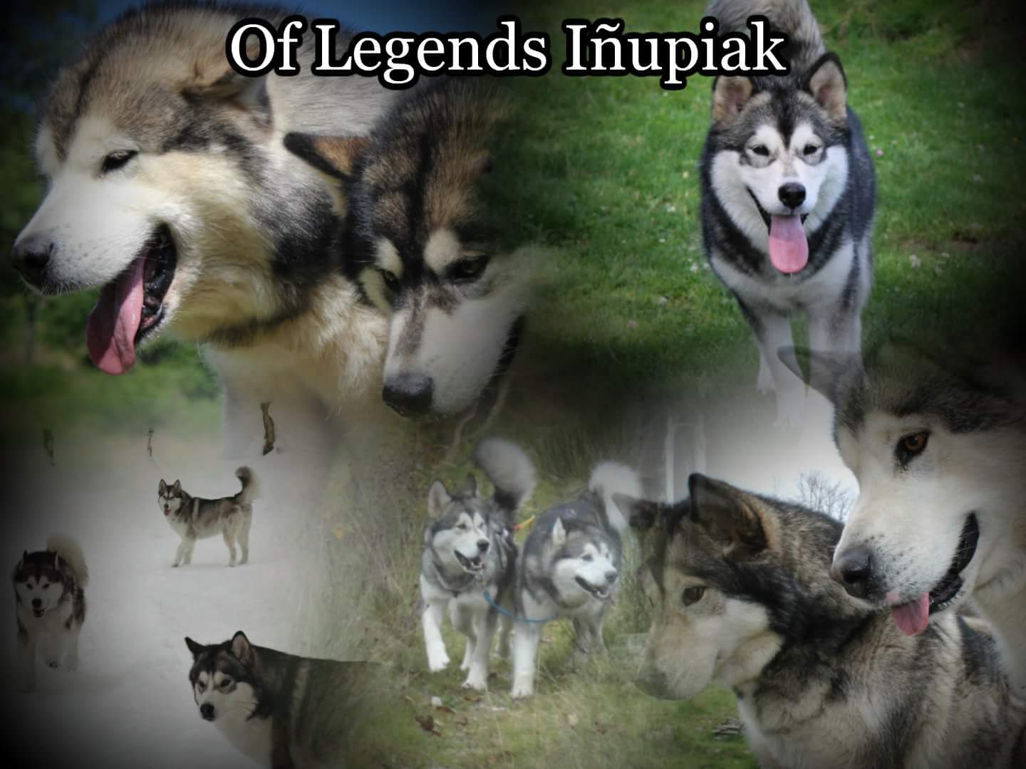 Of Legends Inupiak